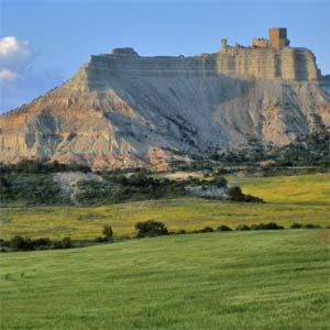 Hotel El Patiaz De La Reina Rana Tauste Exteriér fotografie